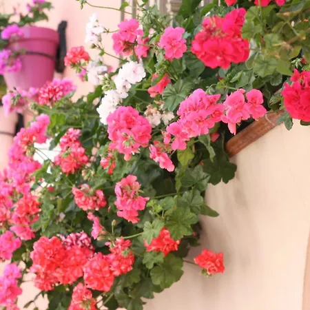 Turisticos Casa De La Borrega