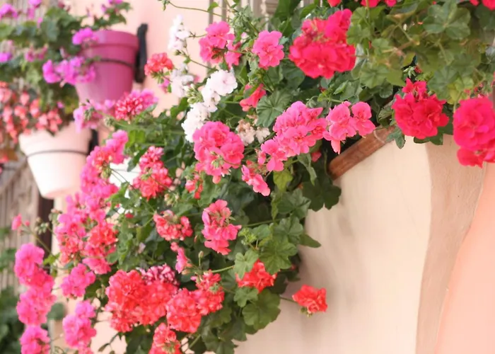 拉波瑞吉旅游公寓